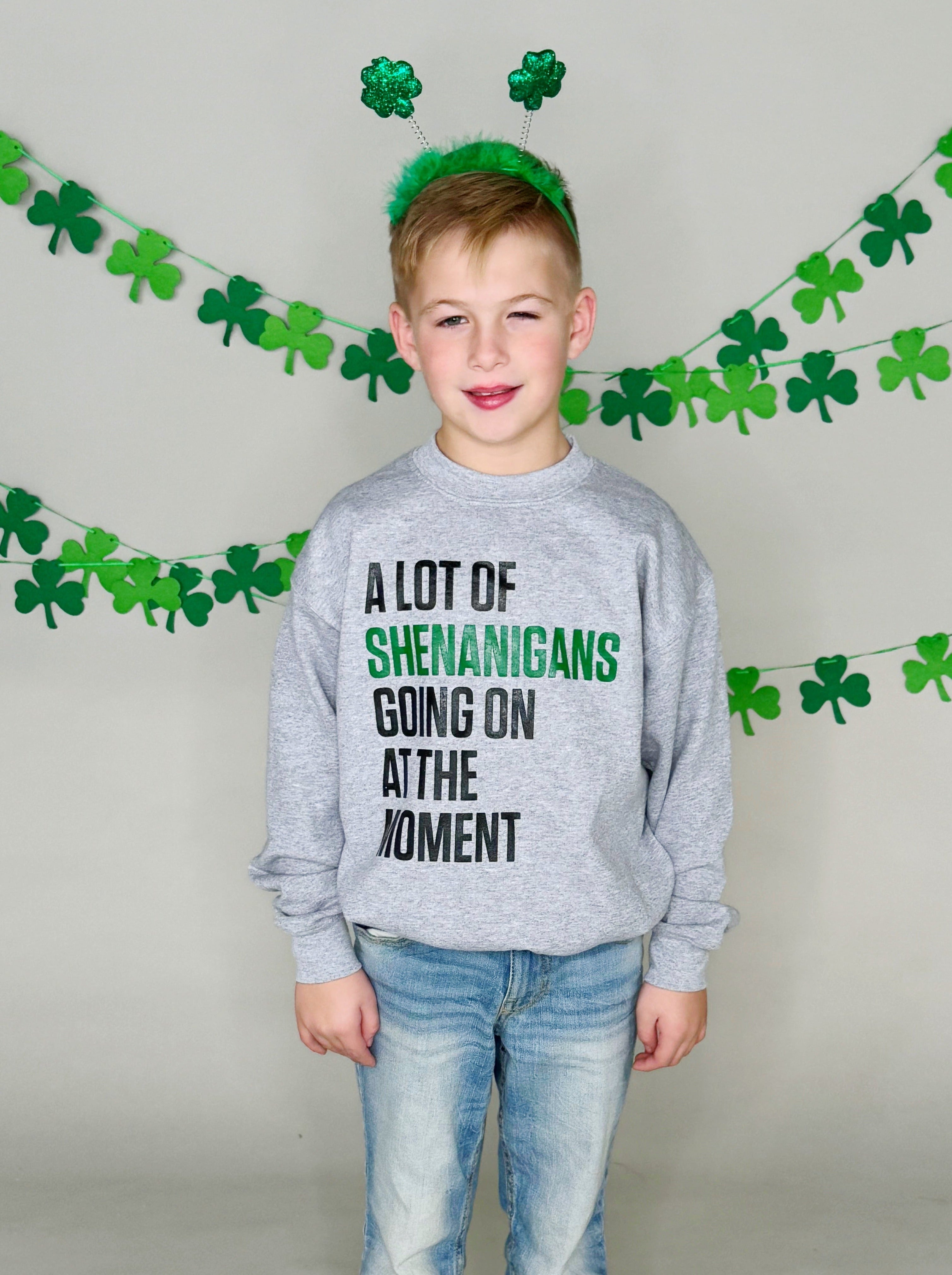 A Lot of Shenanigans Youth and Adult Sweatshirt